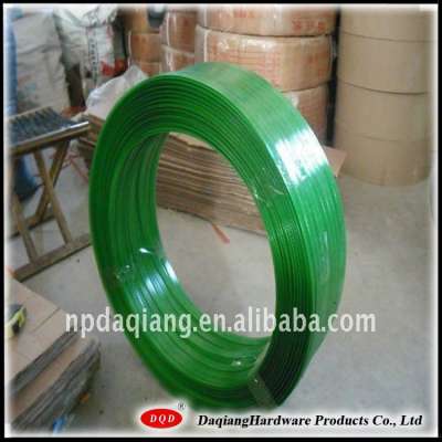 Green pet strapping for packing