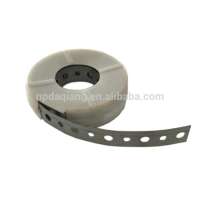 Factory Direct Sale Metal Strip with Holes